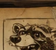 Waschbär-Skizze